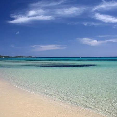 Palme Коста Рей