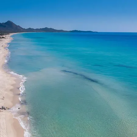 Palme Коста Рей